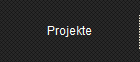 Projekte
