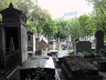 SAM_0391