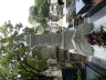 SAM_0392