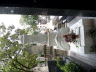 SAM_0394