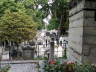 SAM_0395
