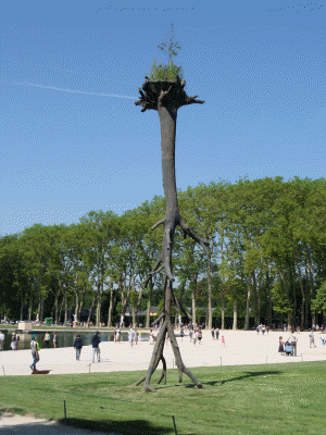 versailles 49