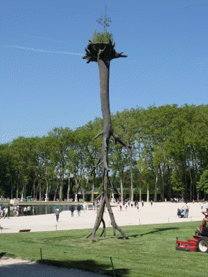 versailles 50