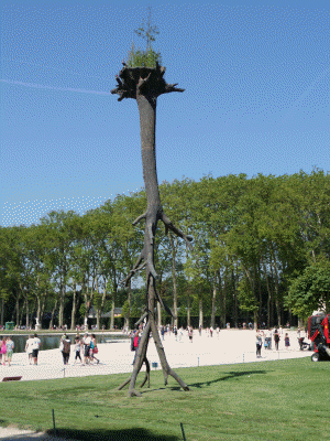 versailles 51