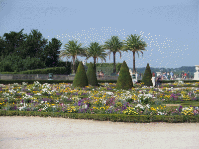 versailles 60