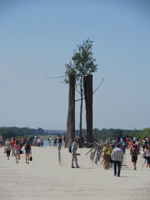 versailles 61