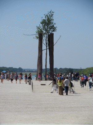 versailles 62